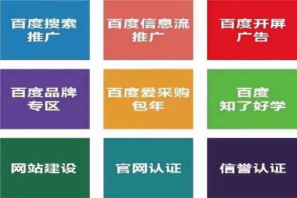 SEO技术突破：某网站流量暴增的背后故事